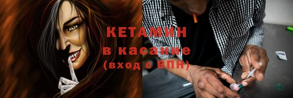 прущие грибы Няндома