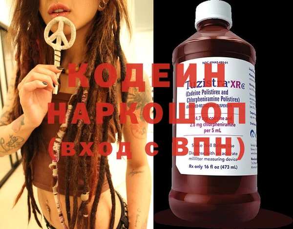прущие грибы Няндома