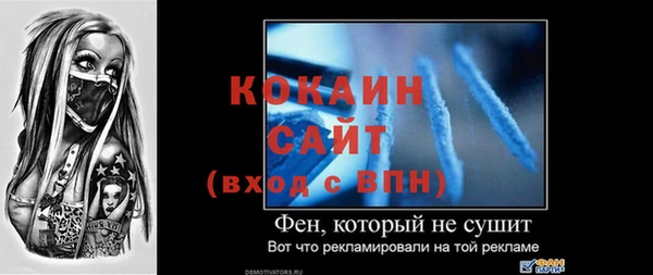 прущие грибы Няндома