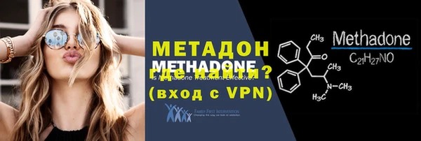 прущие грибы Няндома