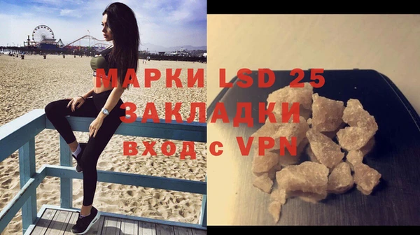 прущие грибы Няндома