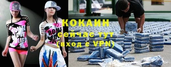 прущие грибы Няндома
