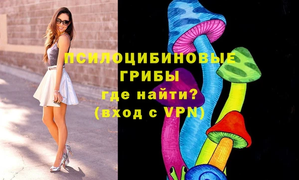 прущие грибы Няндома