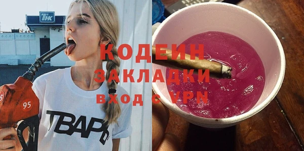прущие грибы Няндома