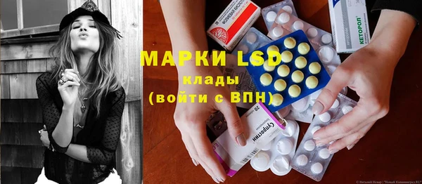прущие грибы Няндома