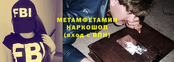 индика Новодвинск