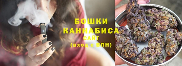 прущие грибы Няндома